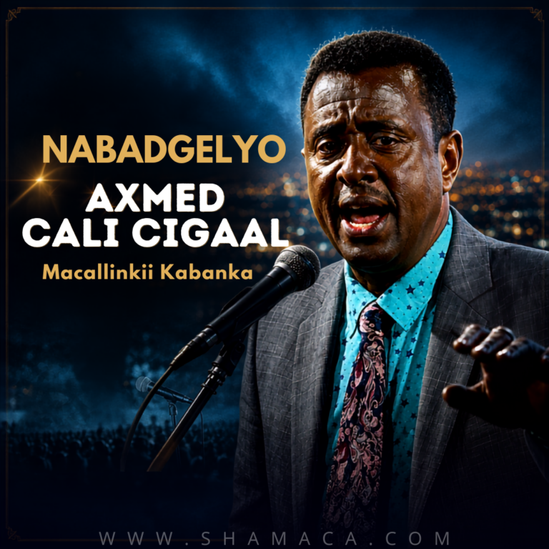 Nabadgelyo, Axmed Cali Cigaal: Macallinkii Kabanka